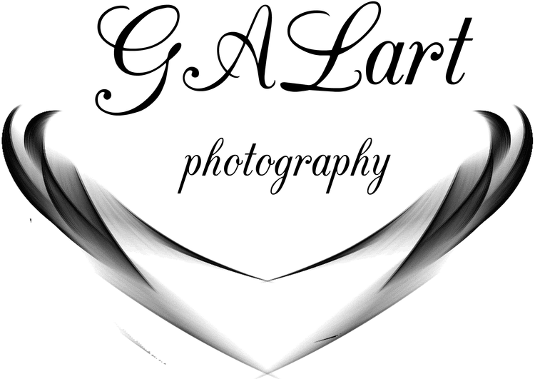 Original Galart logo with two feather forms